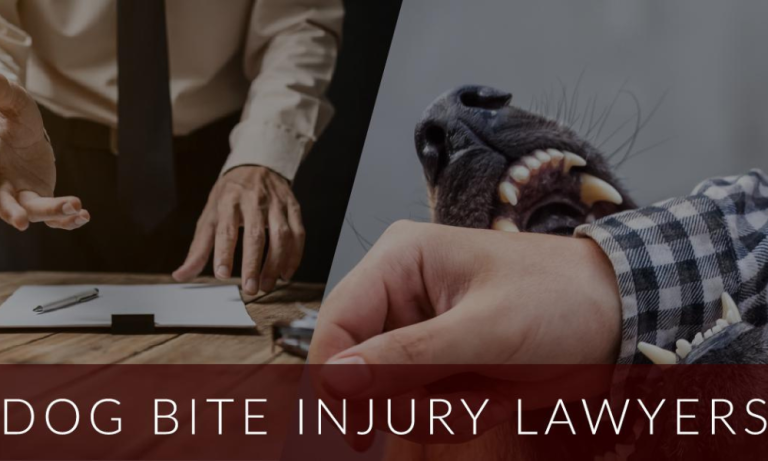 Phoenix dog bite injury lawyer